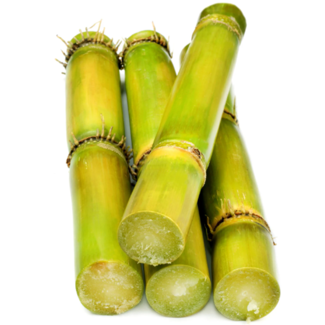 Sugarcane