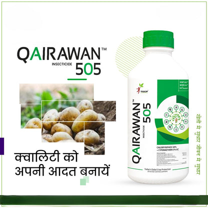 Qairawan (Chlorpyrifos 50% + Cypermethrin 5% EC) Insecticide