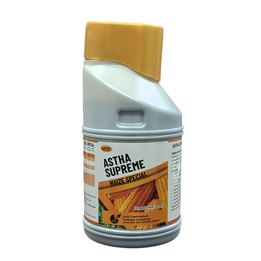 आस्था सुप्रीम मक्का स्पेशल