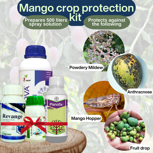 Mango protection kit (Early Fruit Development Stage) - Prepares 500 liter spray solution | Aarnova Fungicide (500ml) + Revange Insecticide (250ml) + Bayer Planofix (100ml) + Ultra Wet Silicon Super Spreader (100ml)