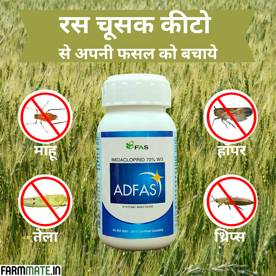 Adfas Insecticide product packaging