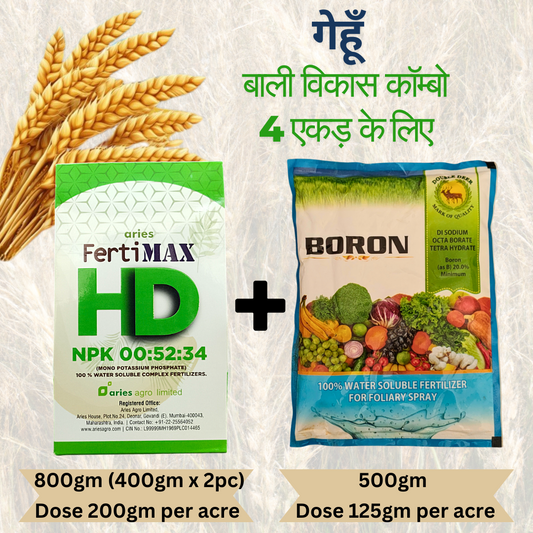 Wheat Bali Vikas fertilizer combo (for 4 acres) | Aries FertiMax HD NPK 00:52:34 Dose-200gm/acre (800gm (400gm x 2pc)) + Double Deer Boron 20% Dose-125gm/acre (500gm)