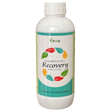 Recovery Validamycin 3% L Systemic Antibiotic bottle - FarmMate.in